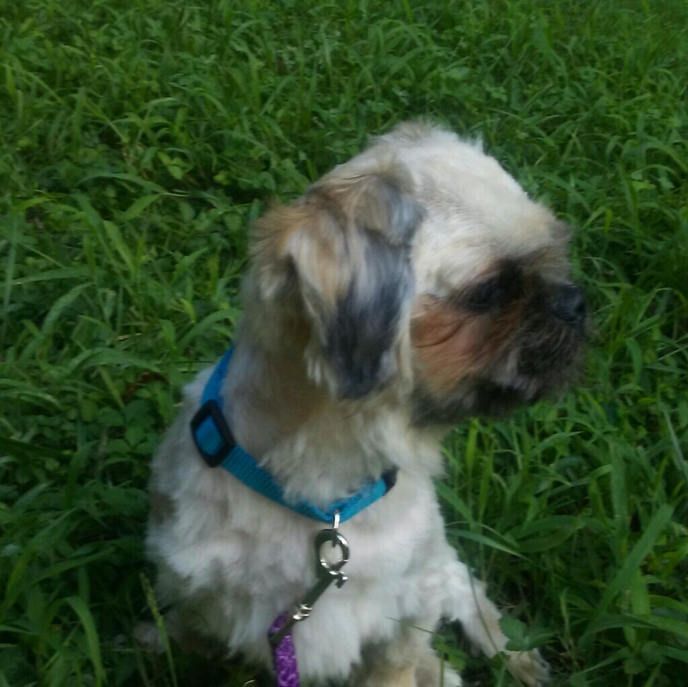 Meet your Posher, The